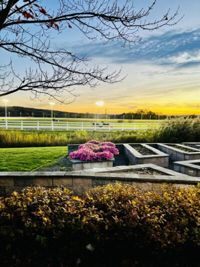 A Peaceful Day at the Track (1)